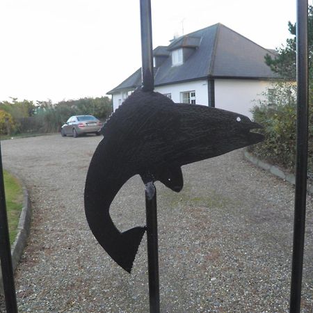 Padua Guest Accommodation Rosslare Rosslare Harbour ภายนอก รูปภาพ