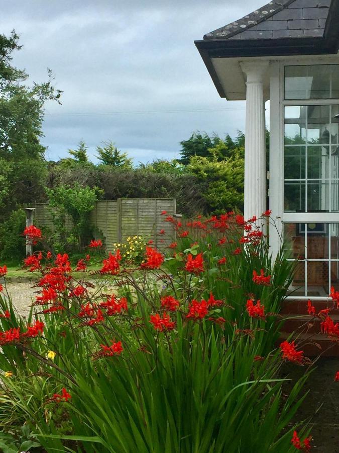 Padua Guest Accommodation Rosslare Rosslare Harbour ภายนอก รูปภาพ