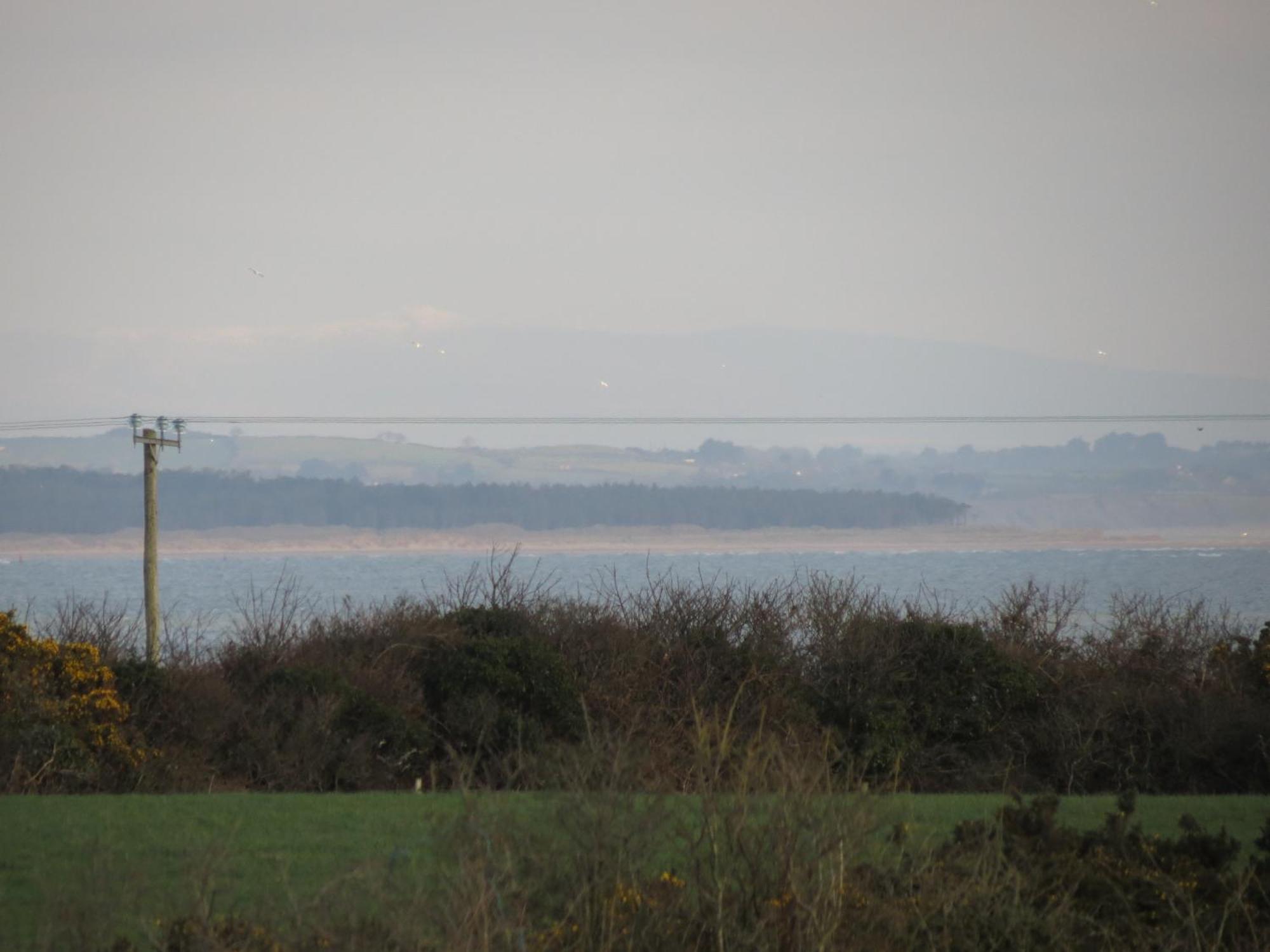 Padua Guest Accommodation Rosslare Rosslare Harbour ภายนอก รูปภาพ