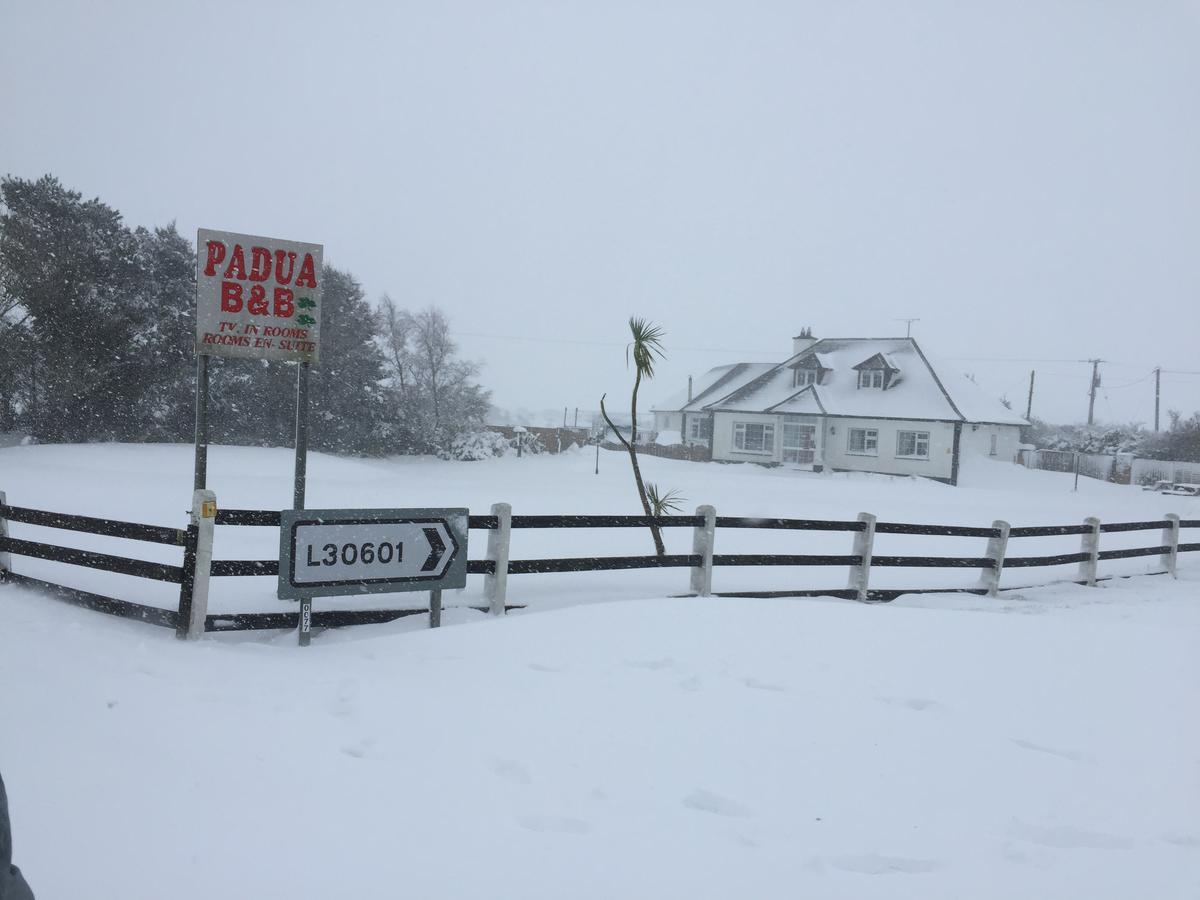 Padua Guest Accommodation Rosslare Rosslare Harbour ภายนอก รูปภาพ